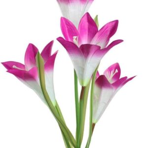 Lampara Solar Jardin flor